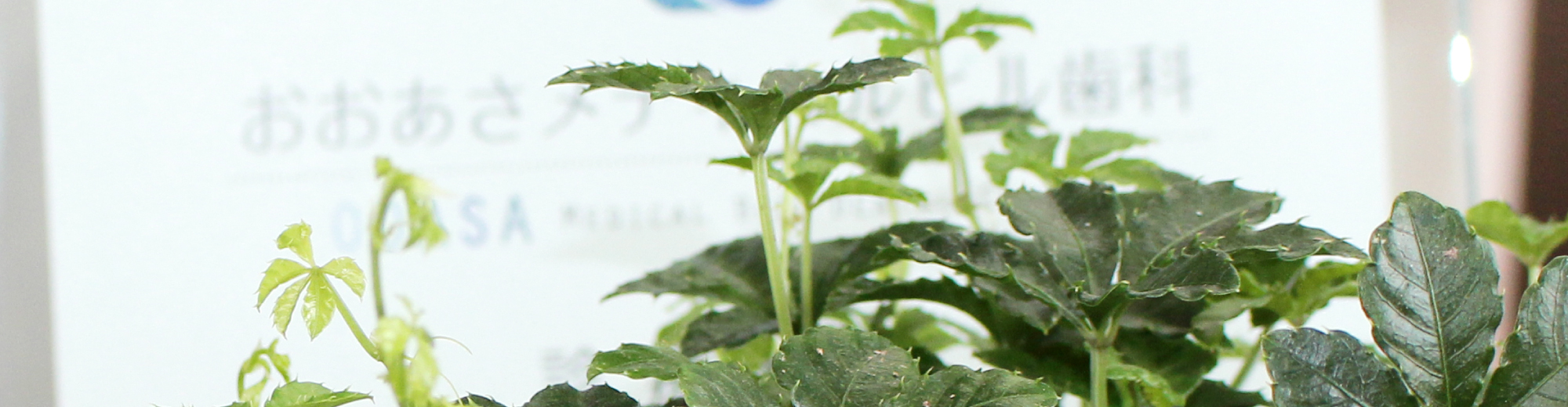 おおあさメディカルビル歯科