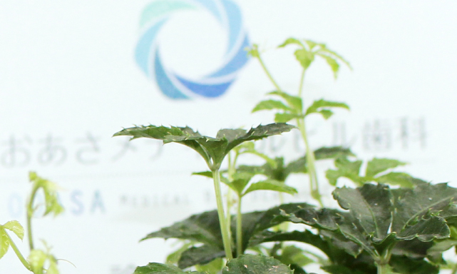 おおあさメディカルビル歯科